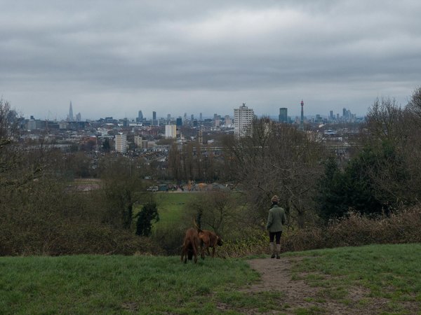 Assurance chat : comment bien comprendre son fonctionnement