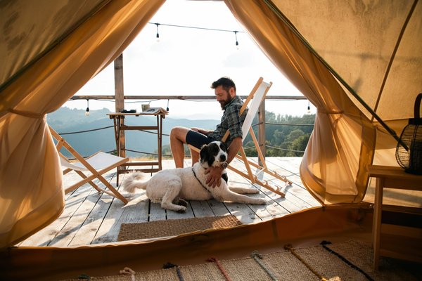 Le lit de camp chien : le compagnon idéal pour vos aventures